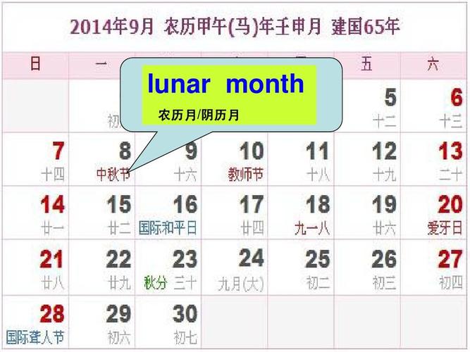 lunar month 农历月/阴历月