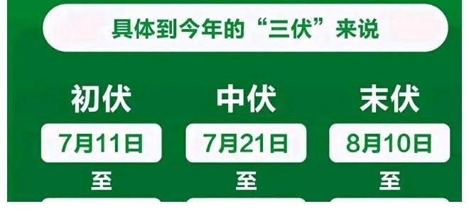 2023年40天超长三伏天已开启初伏中伏末伏时间咋安排