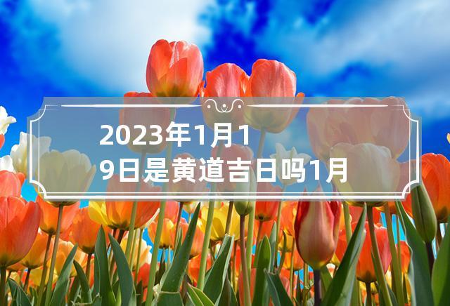 2023年1月19日是黄道吉日吗 1月19日时辰吉凶