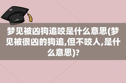 梦见被凶狗追咬是什么意思(梦见被很凶的狗追,但不咬人,是什么意思)?