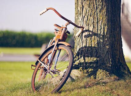 梦见骑自行车做梦梦见骑自行车是什么意思