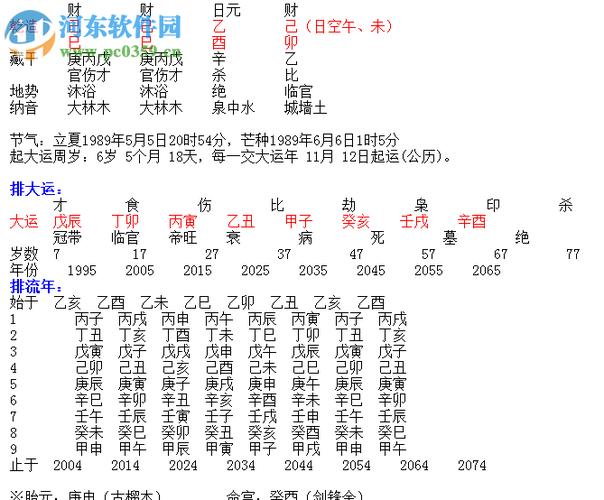 四柱八字排盘软件下载