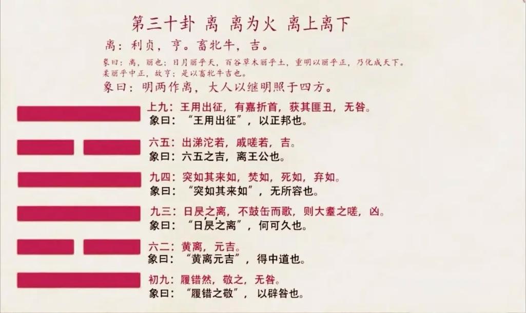 智慧人生 #每天学习一点点  第三十卦:离卦 离:利贞,亨;畜牝牛,吉