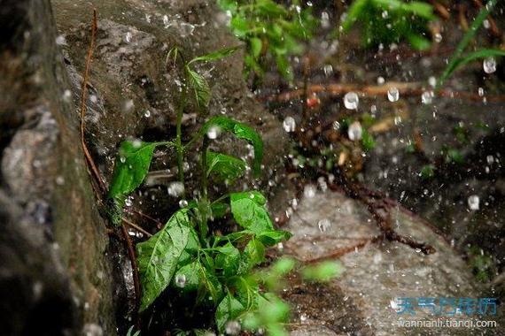 梦见家里下雨发大水的预兆