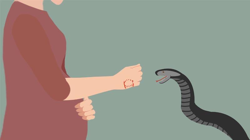 孕妇梦到被蛇咬是什么意思