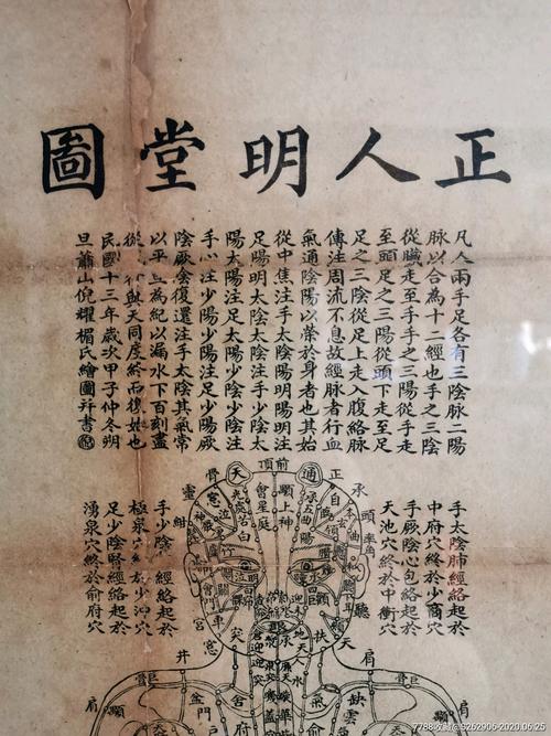 民国中医正人明堂图上海天宝书局石印四幅针灸挂图