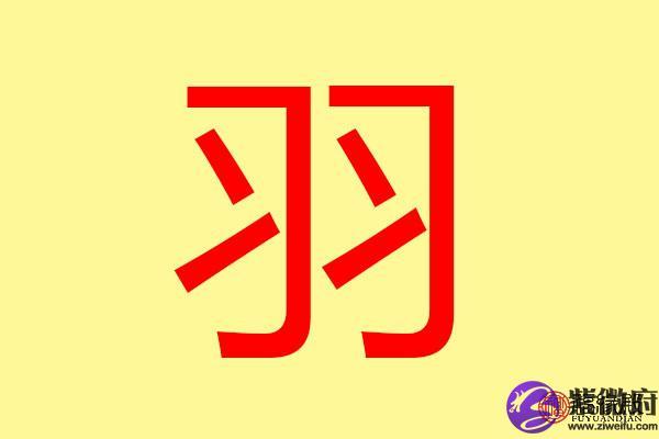 羽字五行属什么 带羽字的名字怎么取