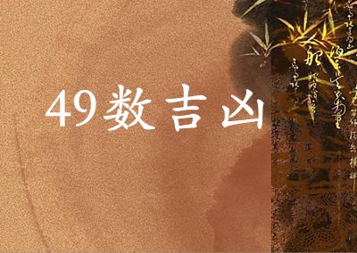 数理49的含义,数字49的吉凶