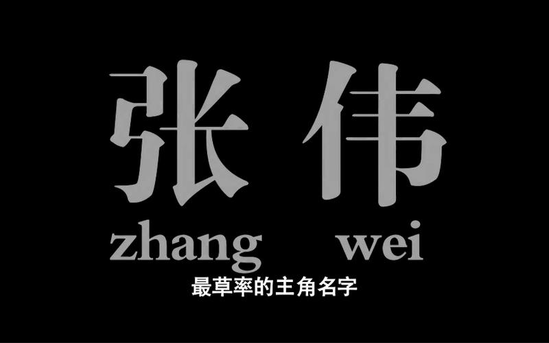 爱情公寓4,最草率的主角名字-张伟