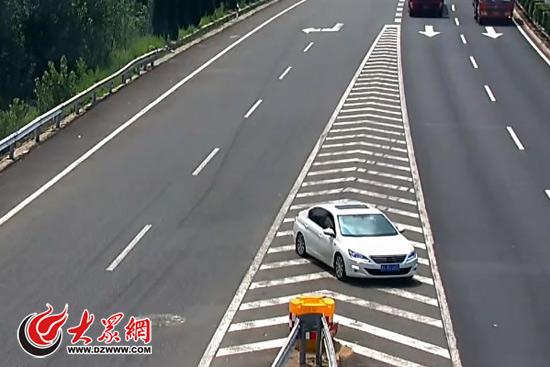 山东新闻   大众网济南7月22日讯 汽车在高速公路上撞到飞鸟,家畜是小