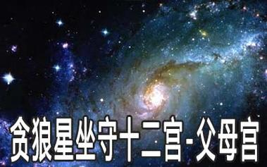 贪狼星坐守十二宫父母宫详解