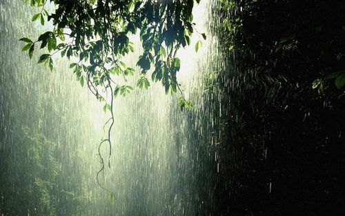 下雨撑伞图片 撑伞的人,在那雨中,等待着什么?