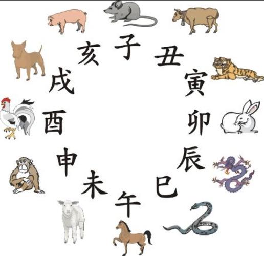 子,丑,寅,卯,辰,巳,午,未,申,酉,戌,亥的总称.中国古代拿它和天干