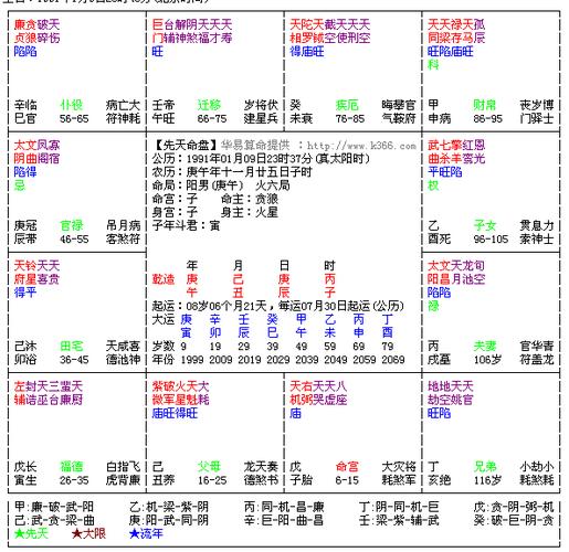 紫薇命盘(专业回答给分)